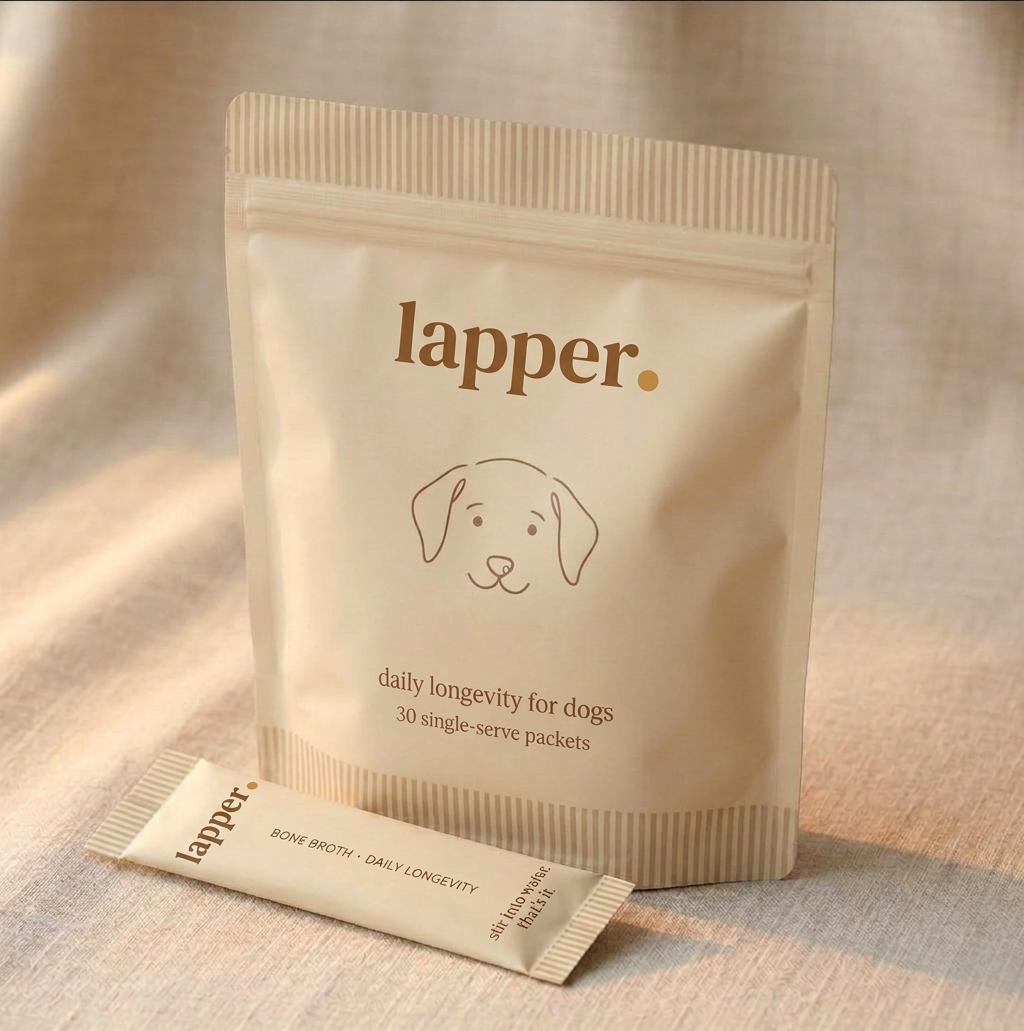 A lapper pouch with a single-serve packet